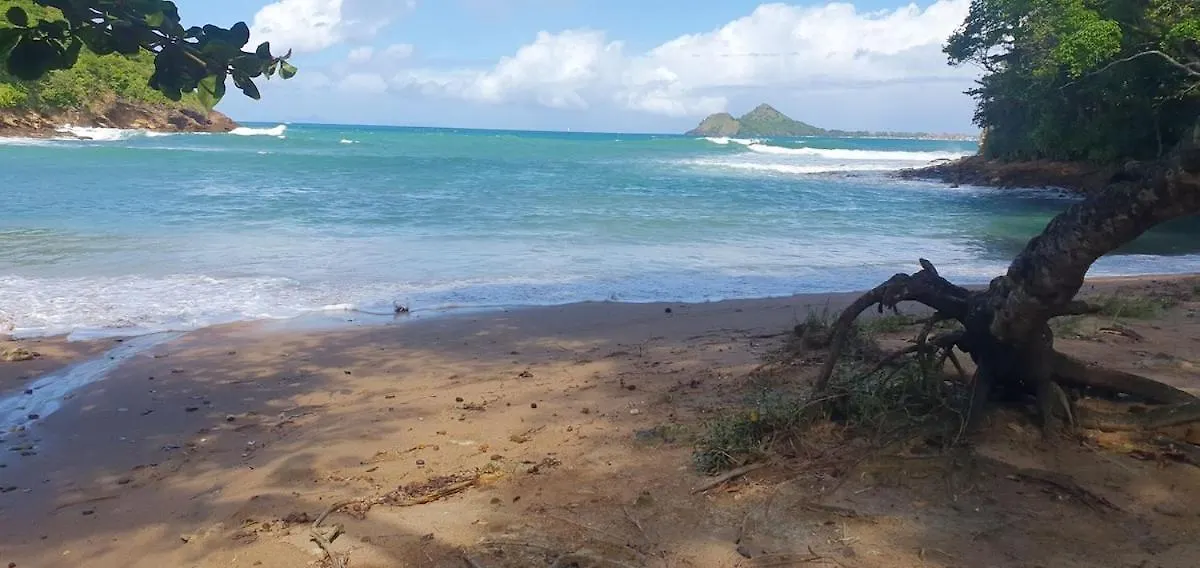 Comfortable Modern Studio Villa Castries Saint Lucia