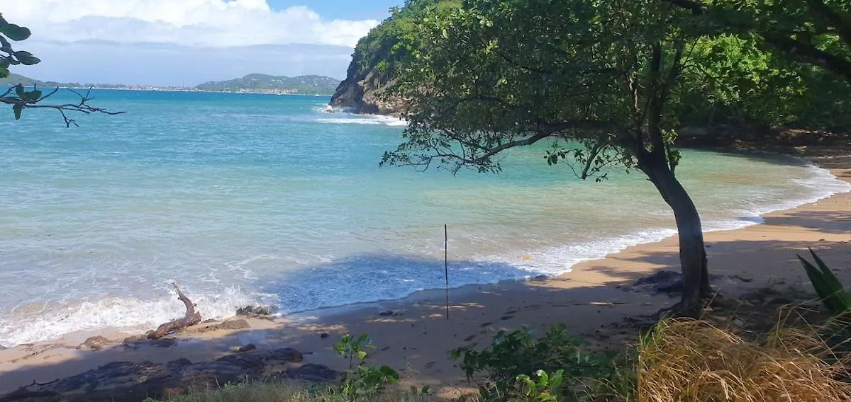Comfortable Modern Studio Villa Castries 0*,  Saint Lucia