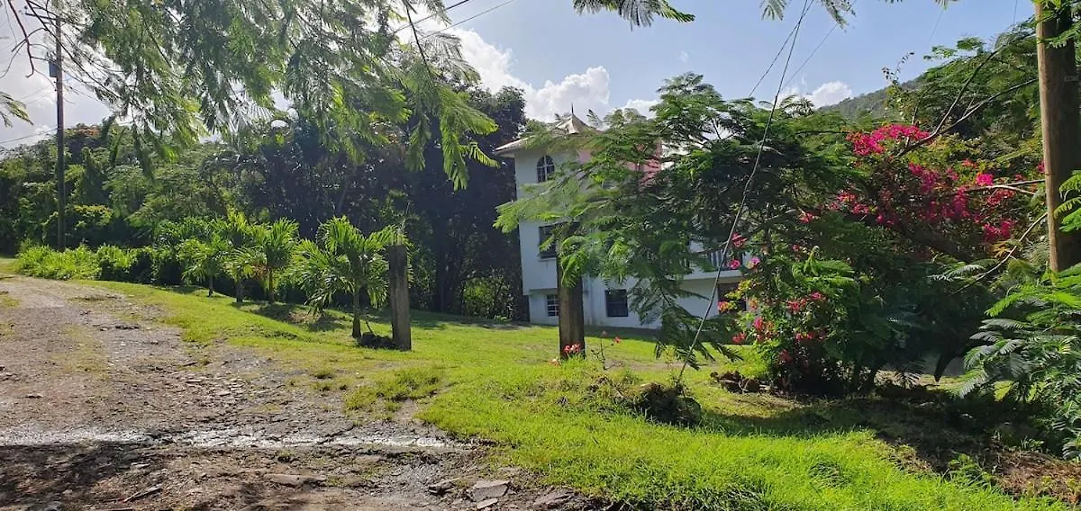 Comfortable Modern Studio Villa Castries 0*,